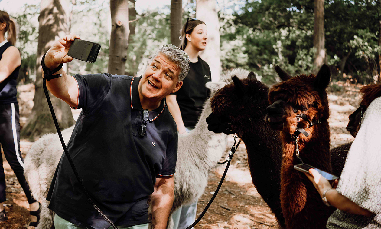 Alpaca Country