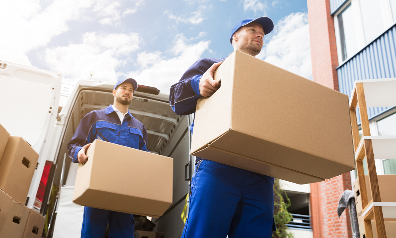 Best Movers