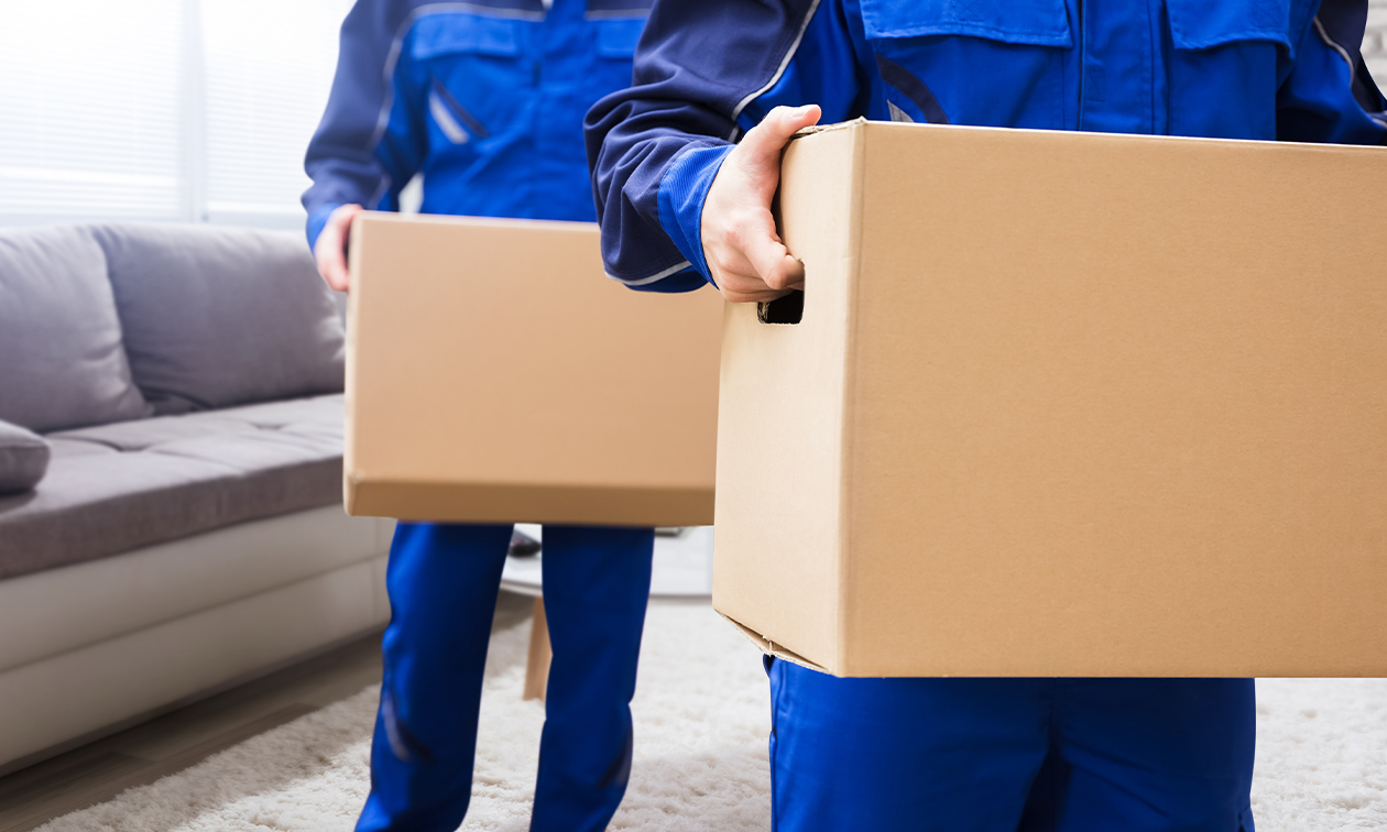 Best Movers