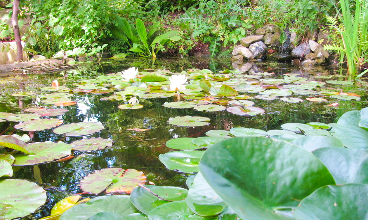 Botanische tuin Jochumhof
