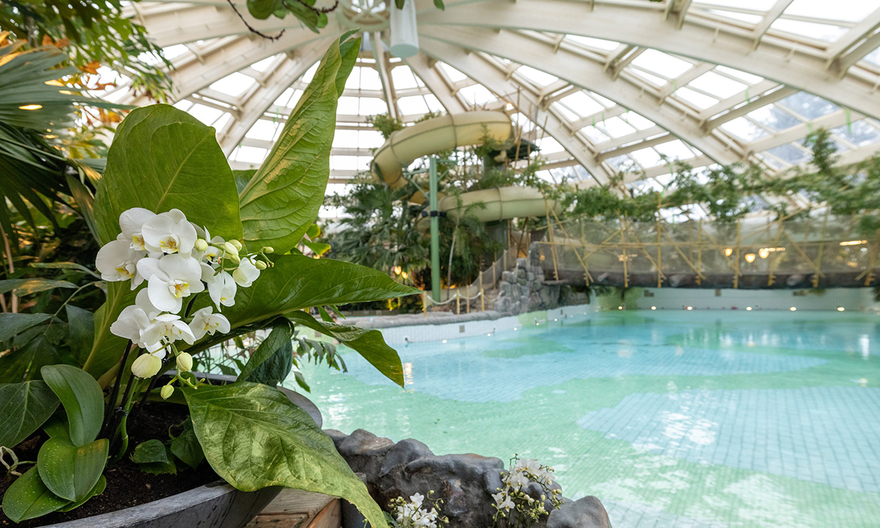 Center Parcs De Huttenheugte