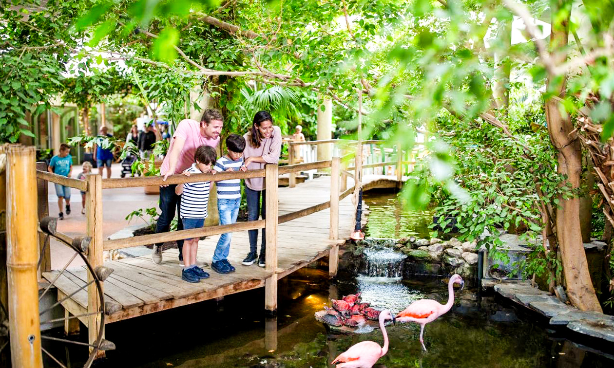 Center Parcs Port Zélande