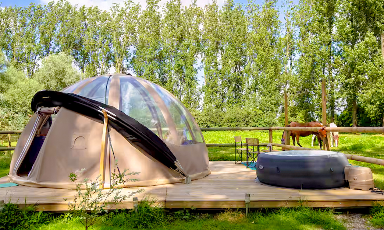 Domaine Butterfly