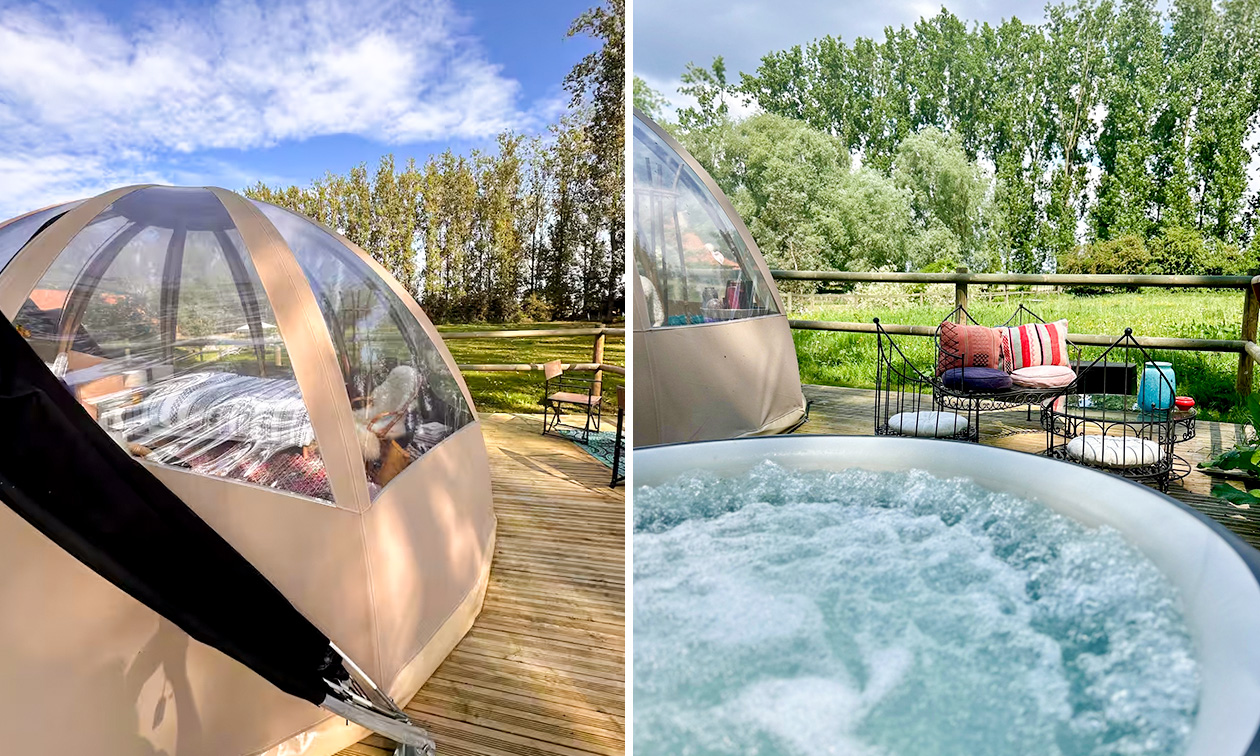 Domaine Butterfly