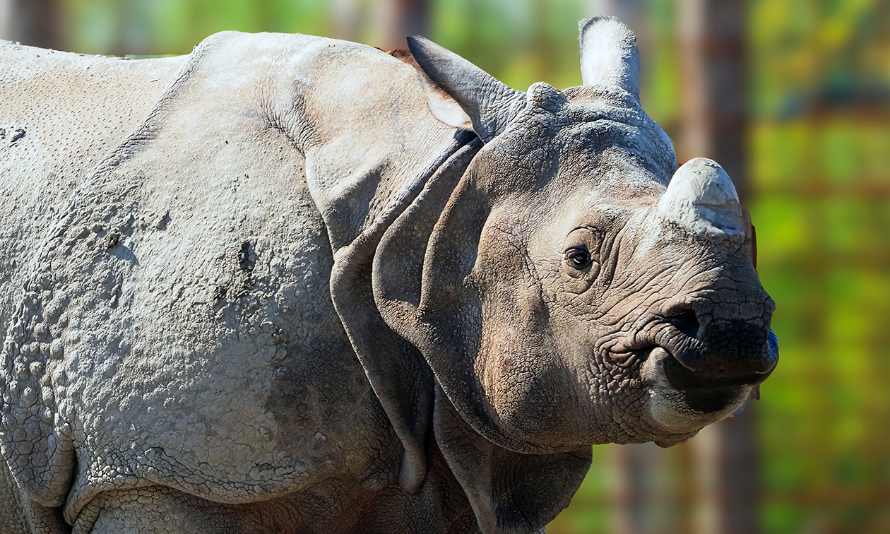 Eindhoven Zoo