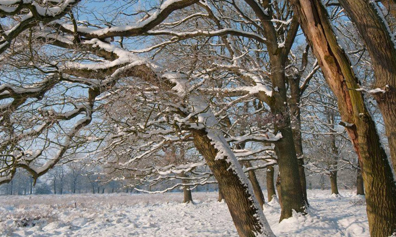Gasterij Natuurlijk Smeerling
