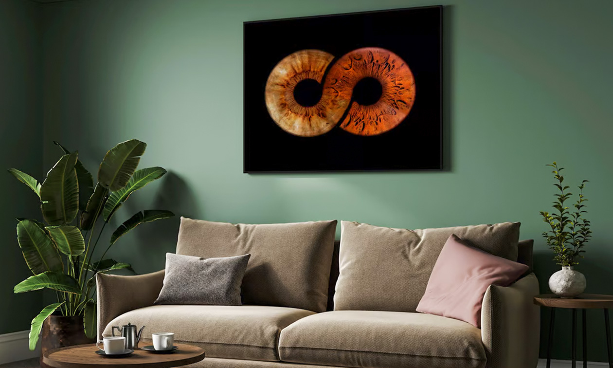 Iris-Eye-Photo