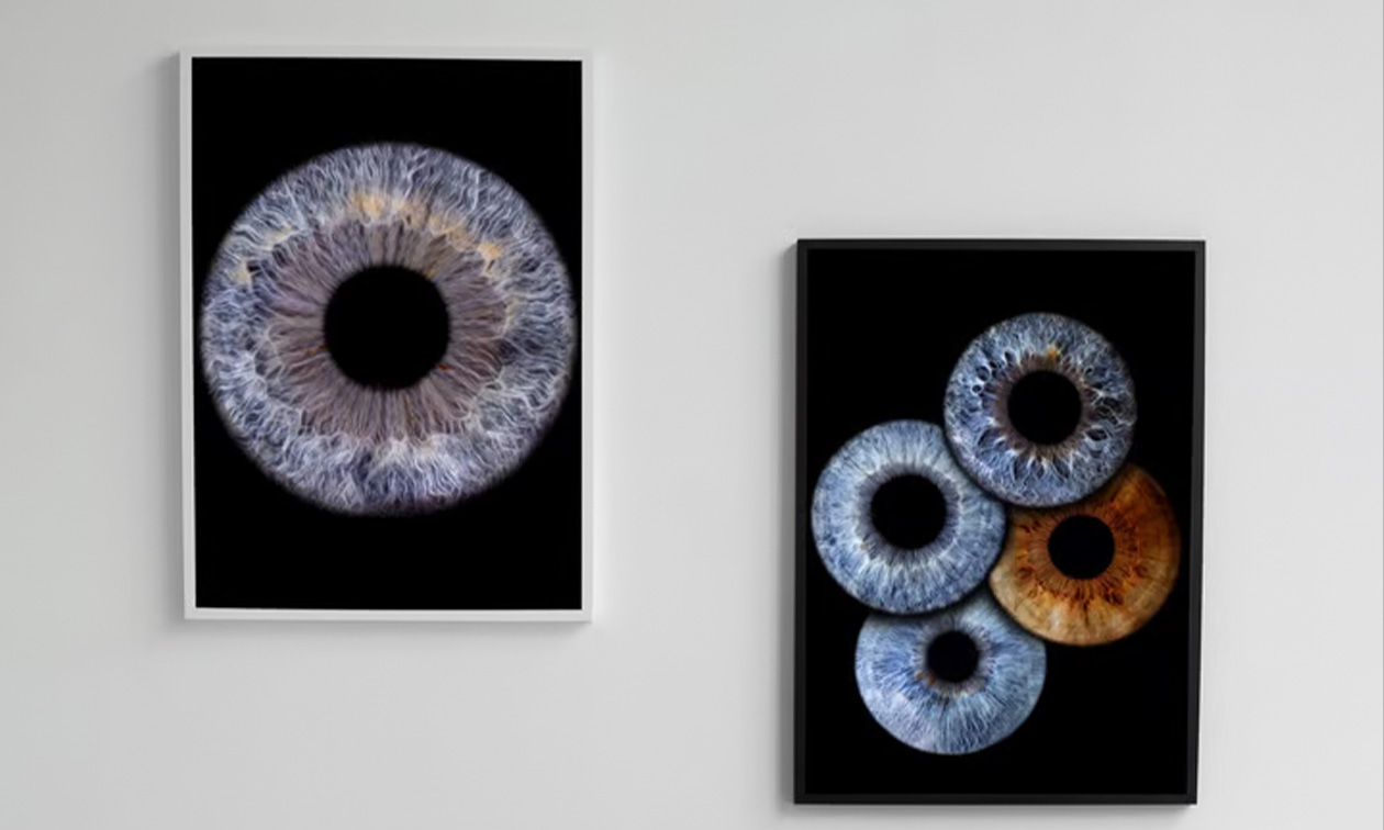 Iris-Eye-Photo
