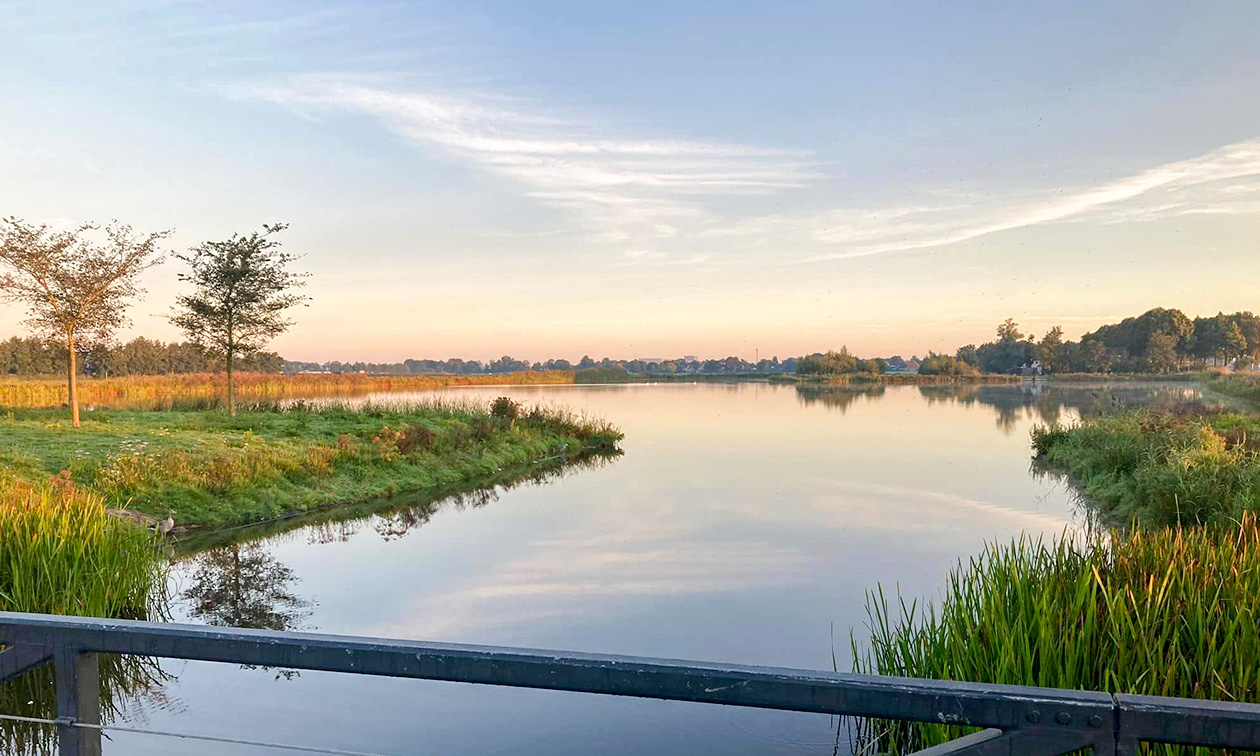 Jongland