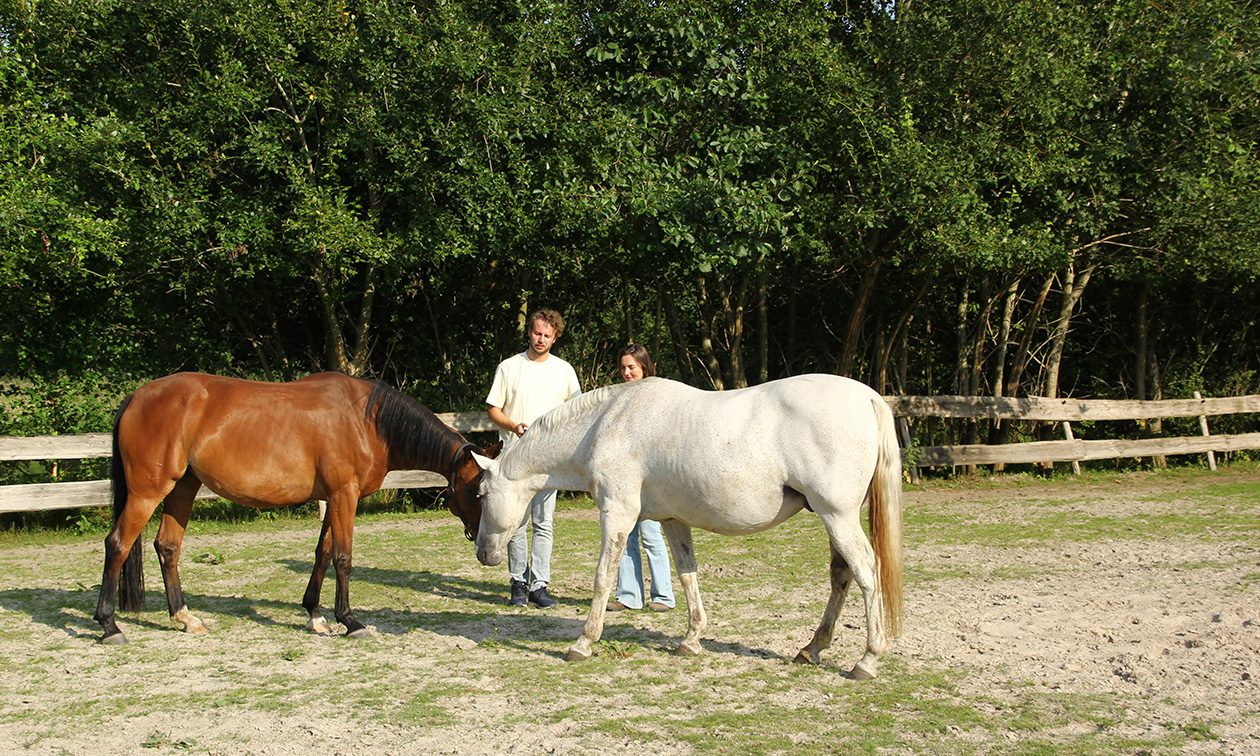 Leadrope Coaching