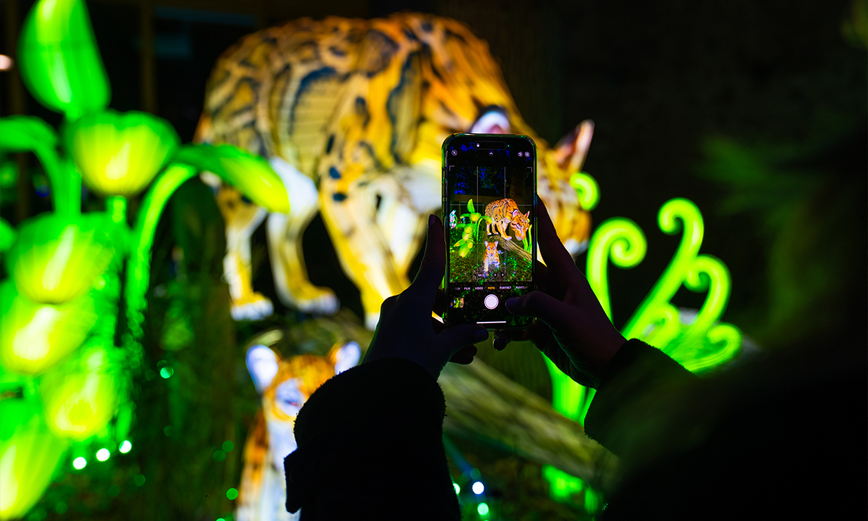 Ouwehands Dierenpark Rhenen