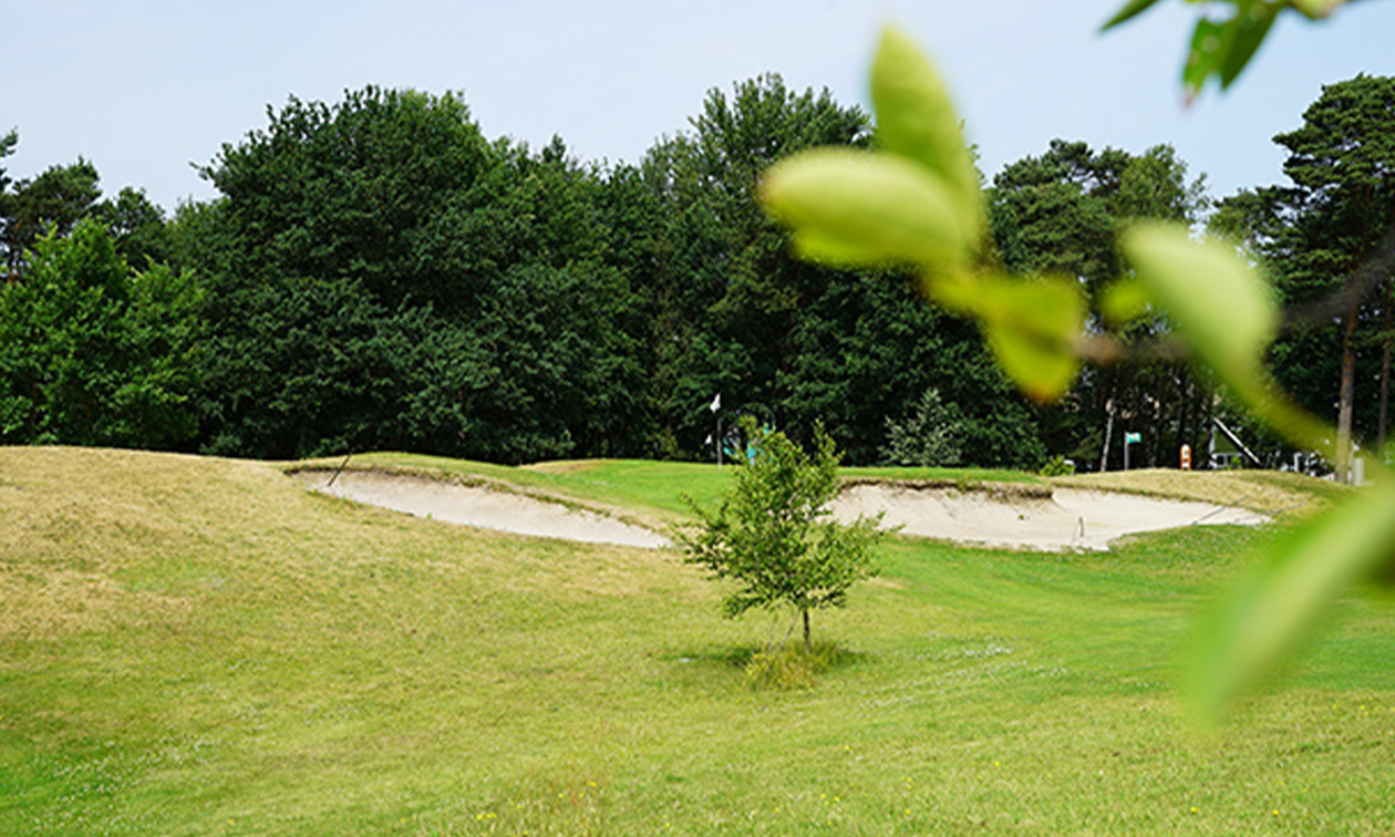 Pitch&Putt Golf Papendal