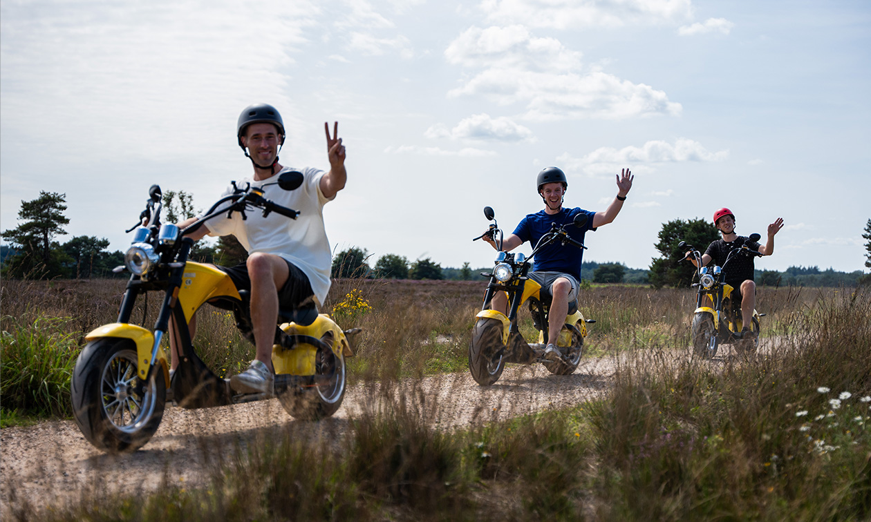 Veluwe Specialist