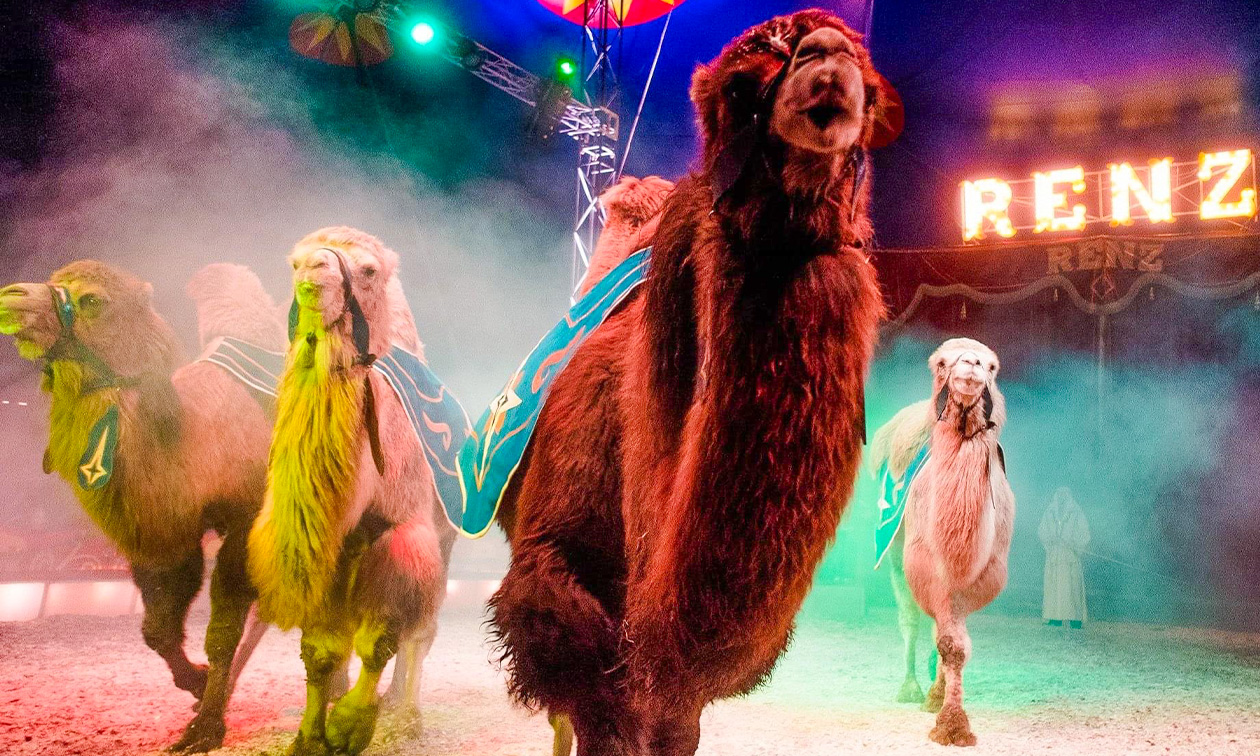 Circus Renz Berlin