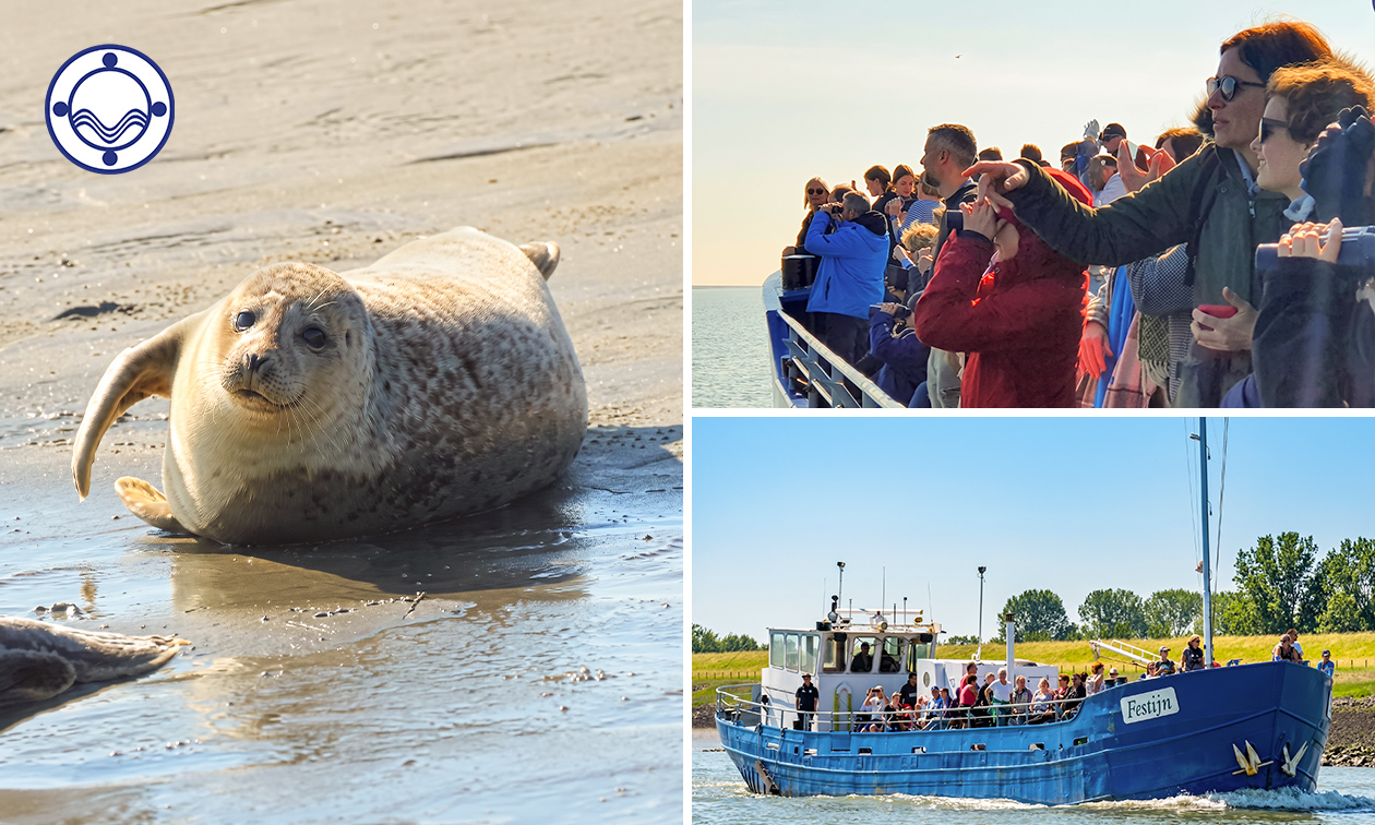 Rondvaart op de Westerschelde (1,5 uur) Rondvaart op de Westerschelde (1,5 uur)