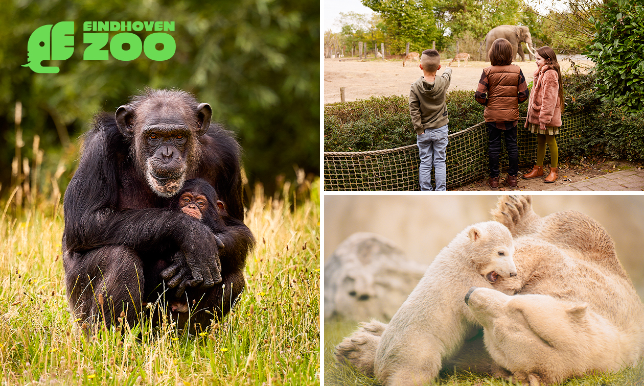 Gehele dag entree tot Eindhoven Zoo (voorheen Dierenrijk)