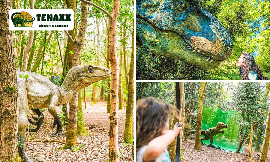 Entreeticket bij Dinopark & Landgoed Tenaxx