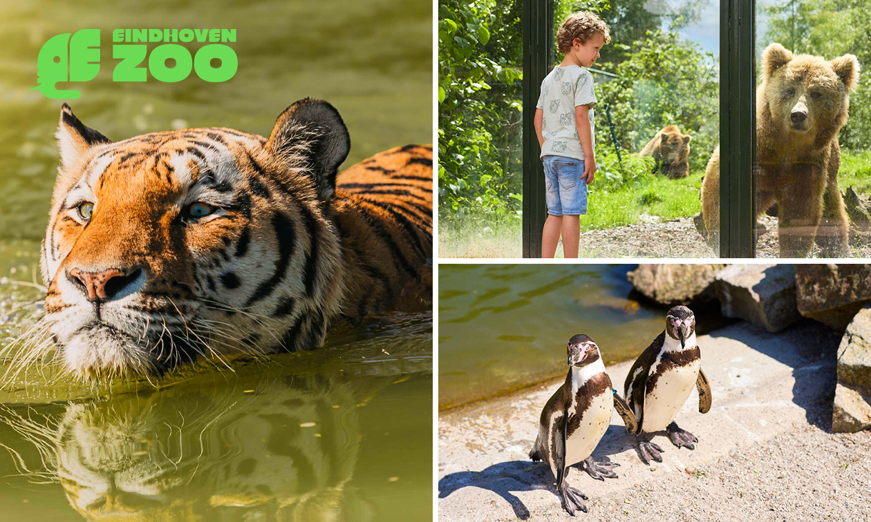 Gehele dag entree tot Eindhoven Zoo (voorheen Dierenrijk)