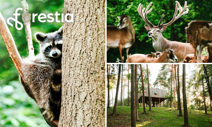 Entree voor dierentuin Forestia in de buurt van Spa