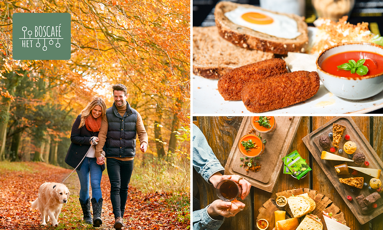 Wandelarrangement met gebak + 2-gangen keuzelunch