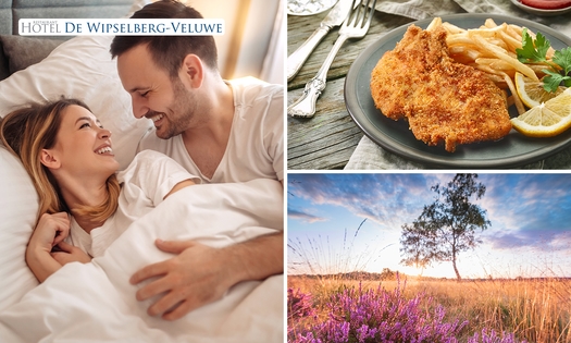 Nuit(s) pour 2 + petit-déjeuner + dîner en 2 services au choix dans la Veluwe