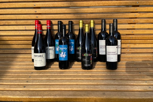 Smagekasse med 12 rødvine fra Husted Vin