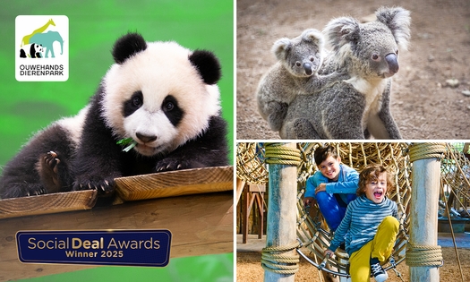Entree voor Ouwehands Dierenpark Rhenen + ijsje