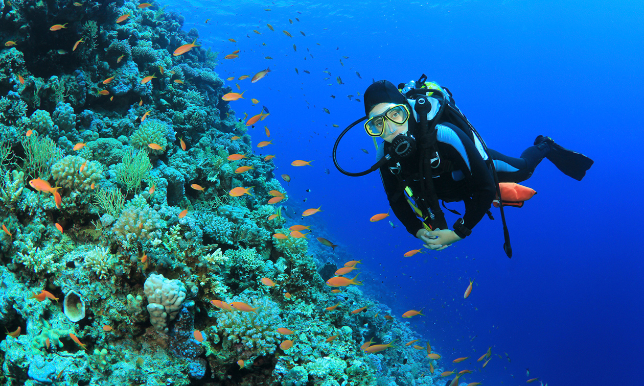 Duikcursus voor beginners of SSI Open Water Diver-duikopleiding