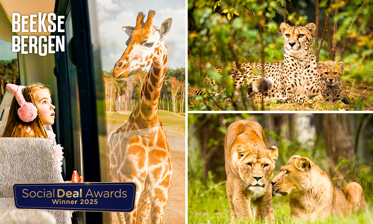 Eintritt Safaripark Beekse Bergen