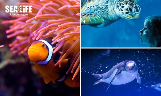 Entree SEA LIFE Scheveningen