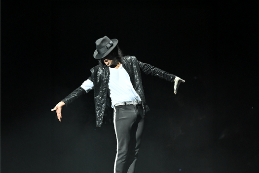 The Michael Jackson HIStory