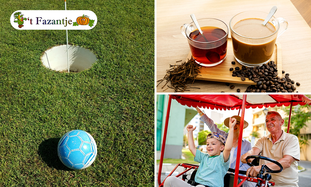Boerengolf (10 holes) + bos bloemen uit de pluktuin OF huur familiefiets (1 uur) + drankje en koek