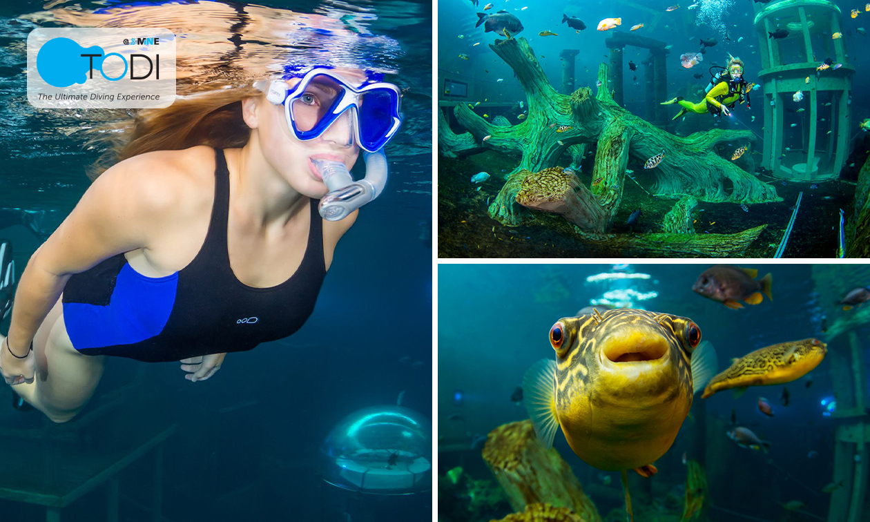 2 uur snorkelen of duiken in een tropisch basin