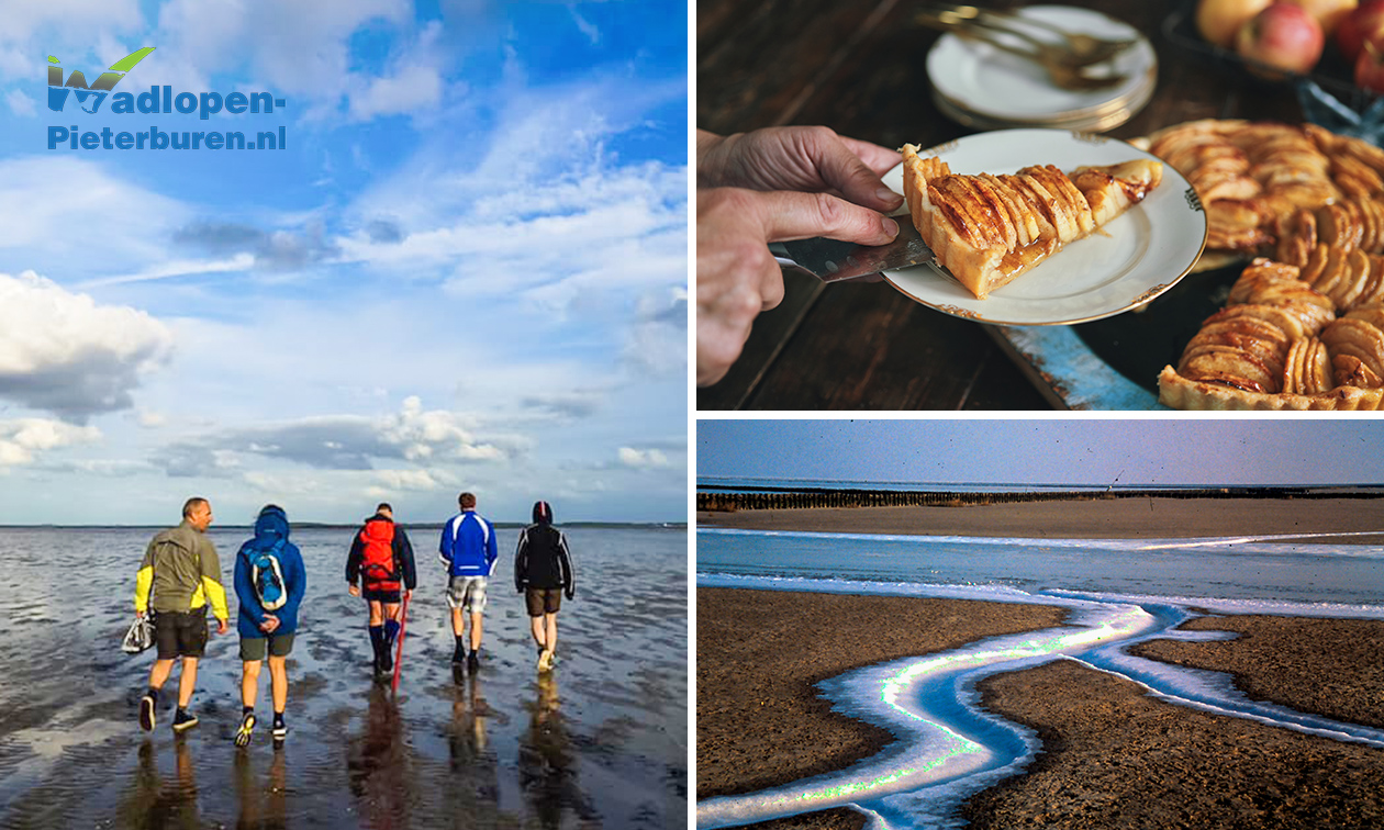 Wadlopen (à 2,5 uur) + koffie/thee + gebak