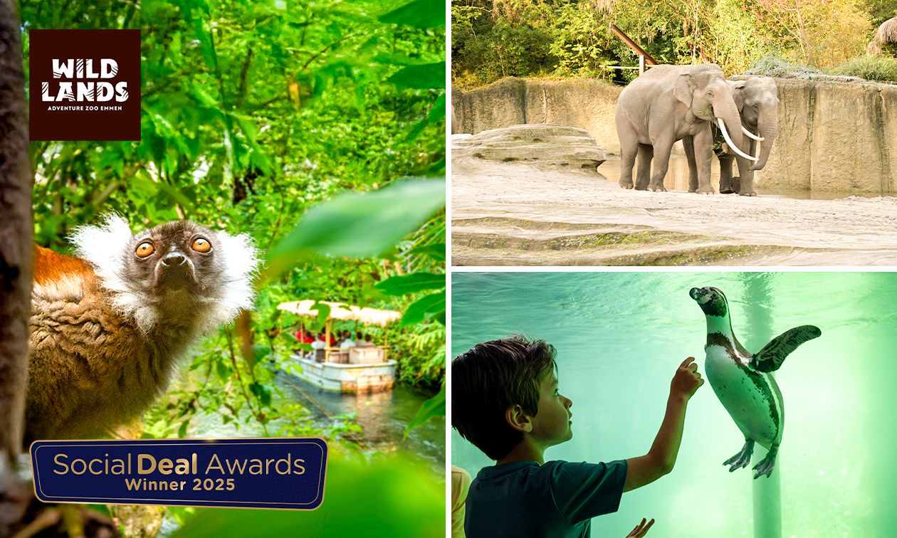 Dagentree voor WILDLANDS Adventure Zoo Emmen