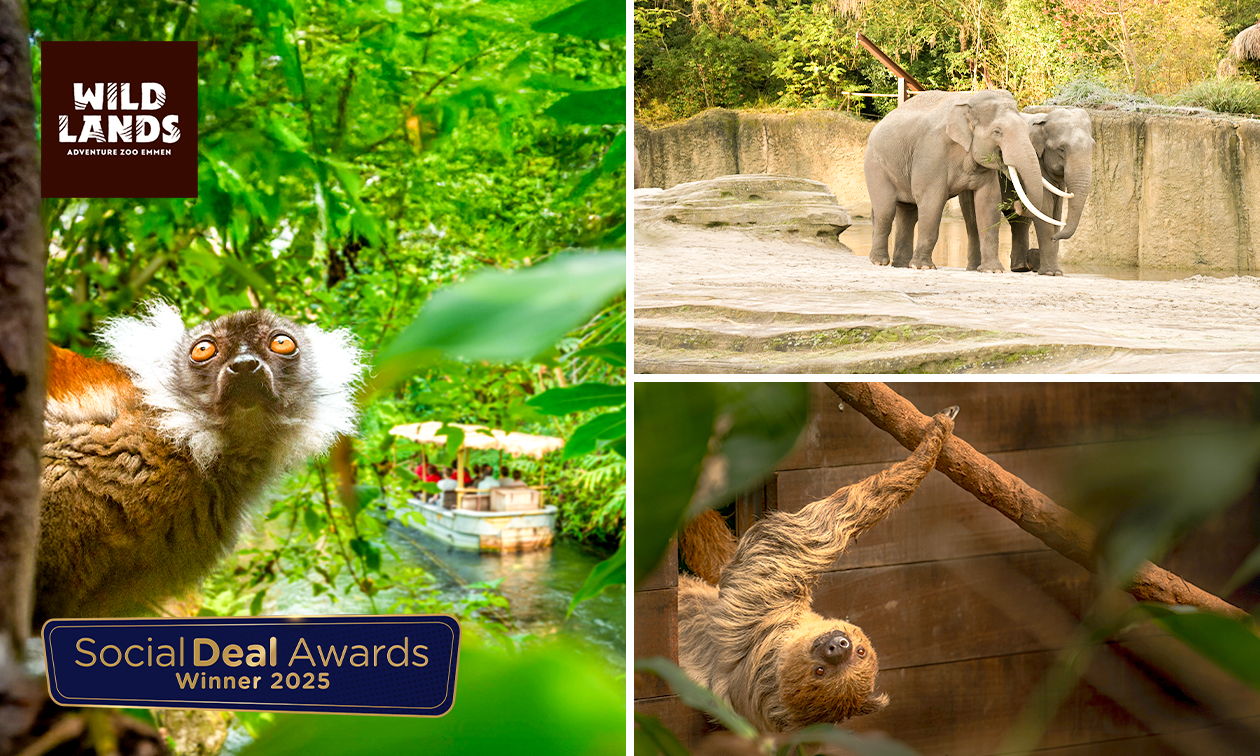 Tageseintritt für WILDLANDS Adventure Zoo Emmen
