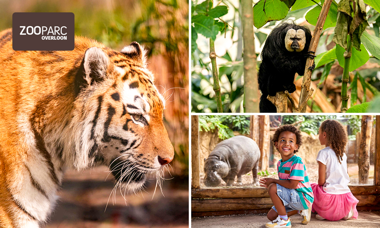 Eintritt ZooParc Overloon